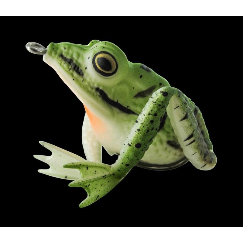 JENZI, The Prinz "- Vert grenouille réaliste