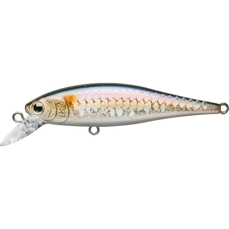 Lucky Craft Pointer 100SP MS American Shad Wobbler