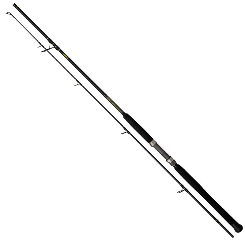 Black Cat 2,40m Solid Spin Wfg.: 40-160g