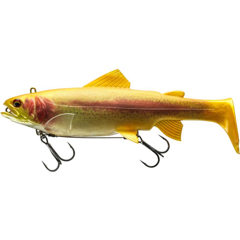 Daiwa PX L. Trout SB 250DF gold trout