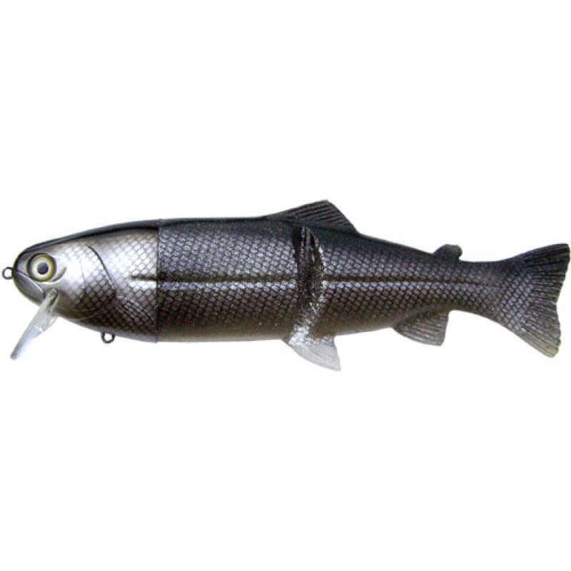 Castaic Hard Head 30,5 '' Silver Shiner Floating