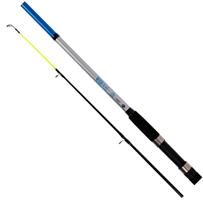 Lion Sports Wish Aal 2,70 m 40 - 80 g