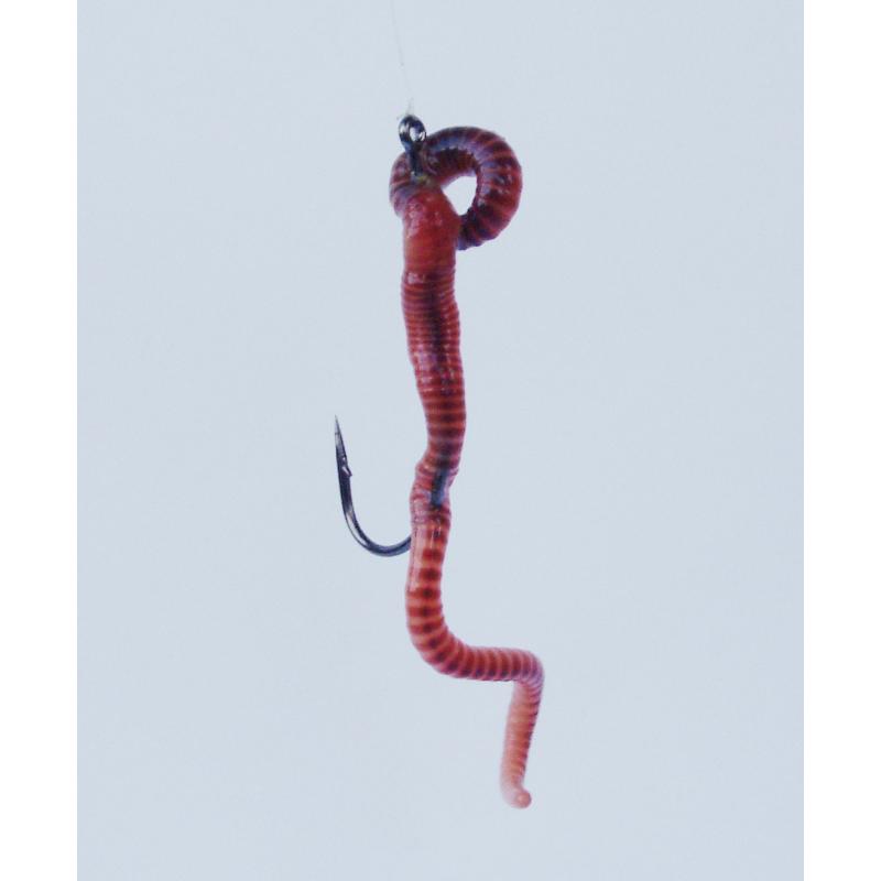 Gamakatsu Hook Worm 34 Noir Taille. 2/0