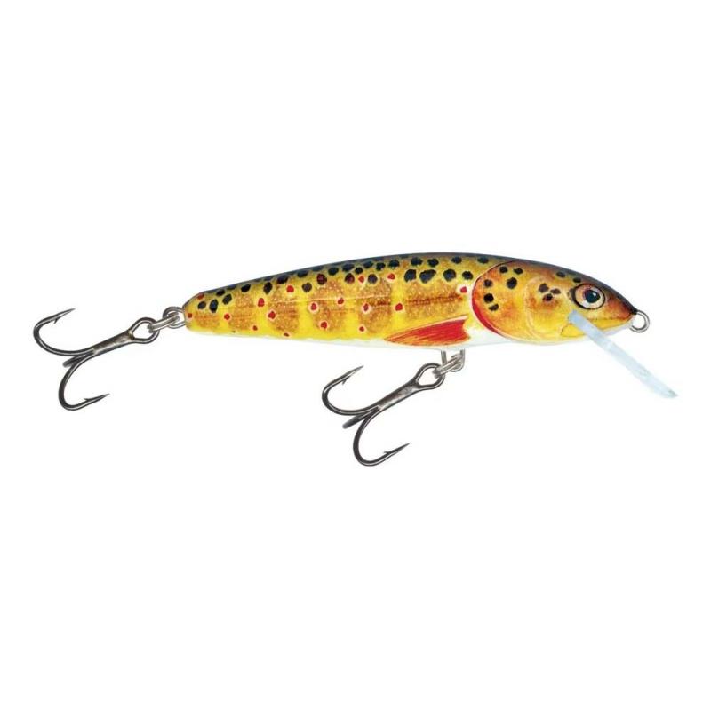 Salmo Minnow Floating 6cm Trout