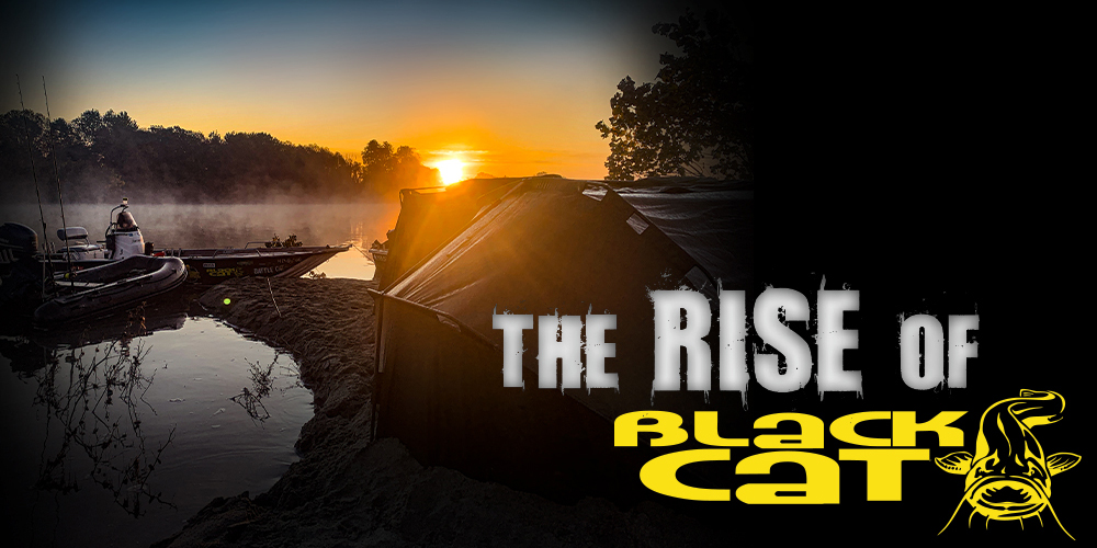 Rise of Black Cat