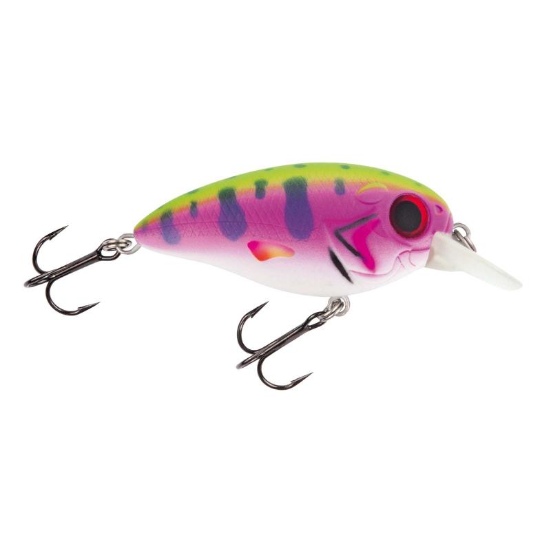 Jackson Barschwobbler 6.0 Rainbow Trout