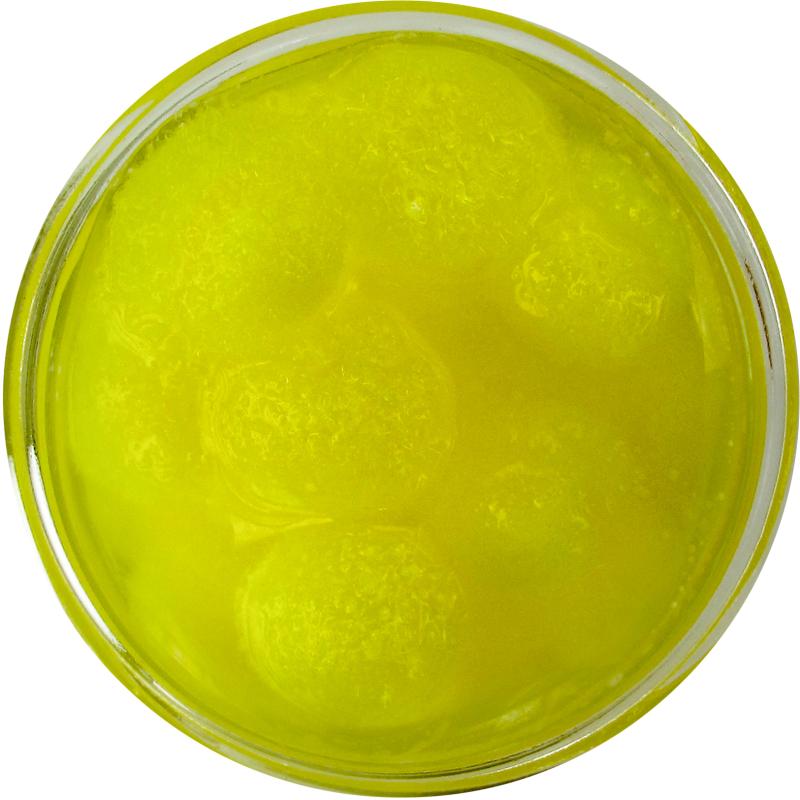 JENZI Trout balls Knoblauch Fluo-Gelb