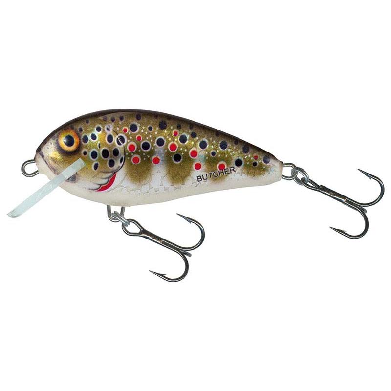 Salmo Br5F Holographic Brown Trout