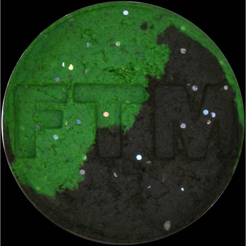 Amino Flash Faulenzerteig 75gr. Knoblauch schwarz / neon grün