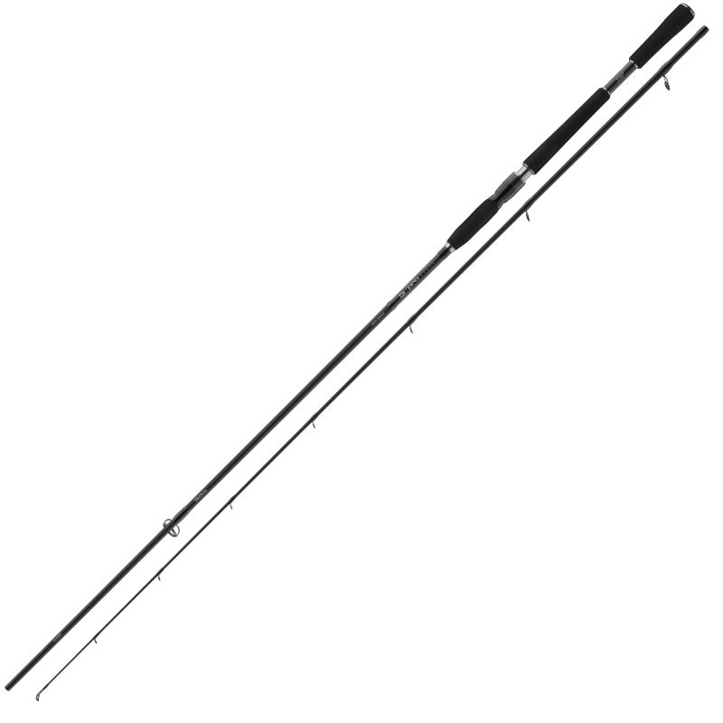 Bâton Daiwa DW Pro 2.50m 18-64g