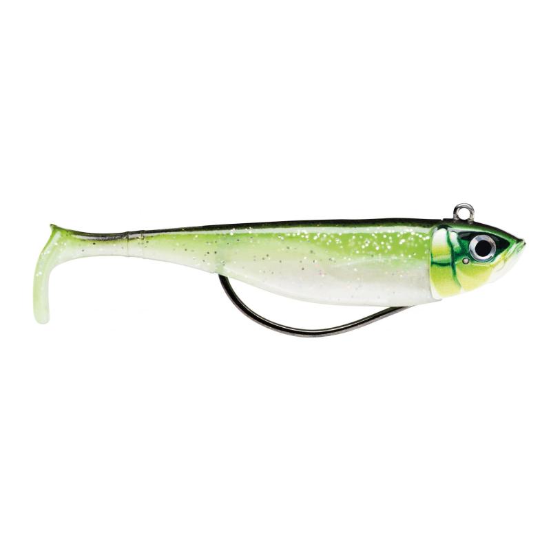 Storm Biscay Shad 09-14G Cgr