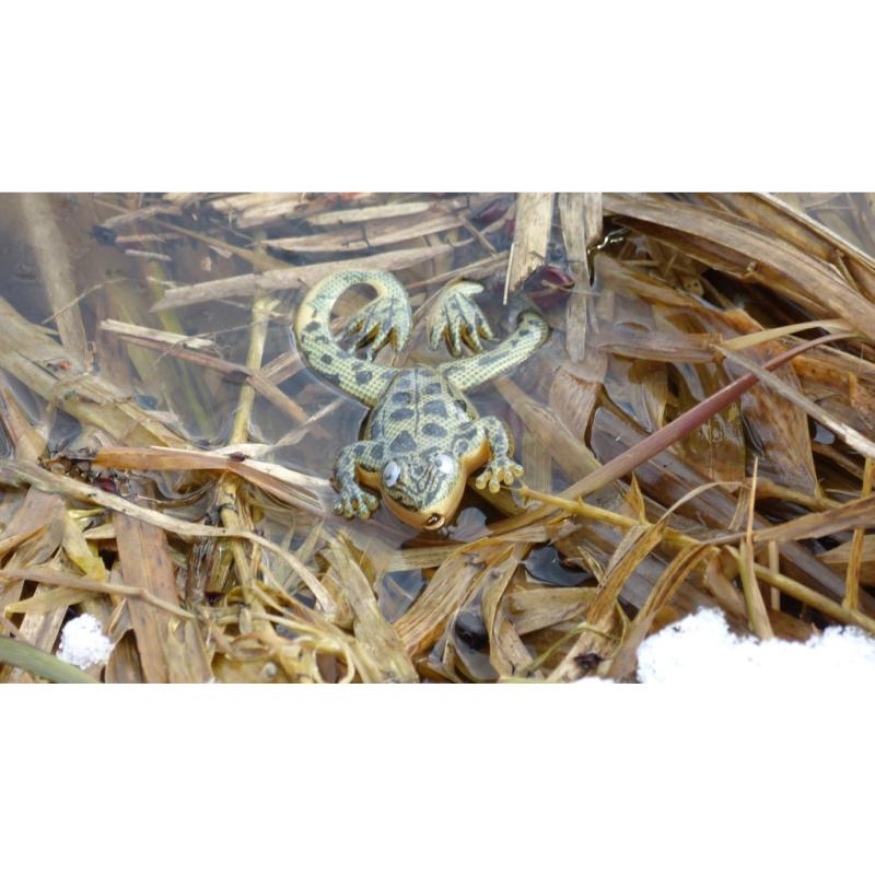 JENZI Jack's Rubber Froggy avec crochet à herbes 10 g 80 mm couleur B