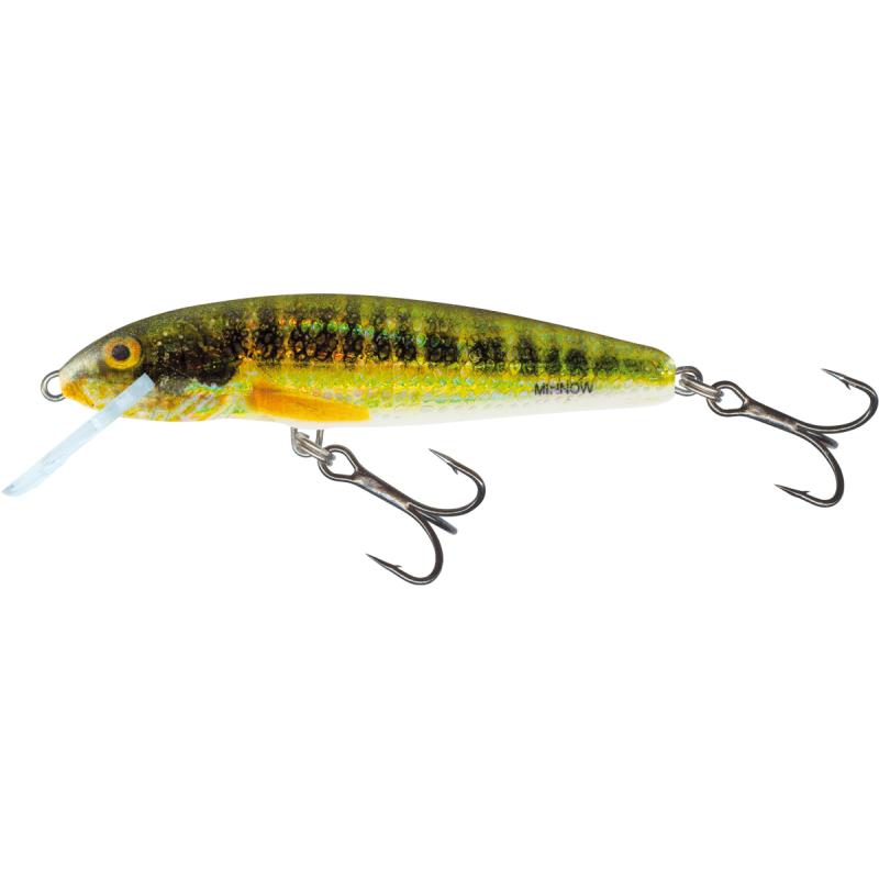 Salmo Minnow Coulant 5cm 5G Holo Real Minnow 0,8 / 1,5m