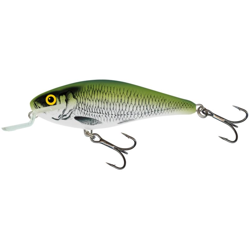 Salmo Executor 5 Shallow Runner Olive Sombre