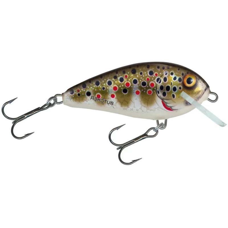 Salmo Br5S Holographic Brown Trout