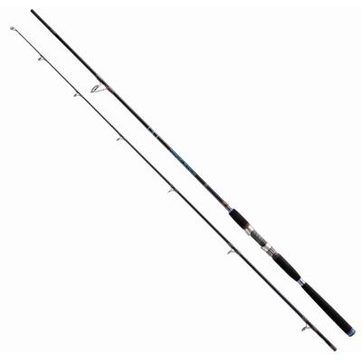 JENZI Magic Stick MS 60 (35-60 g) 2,10 m