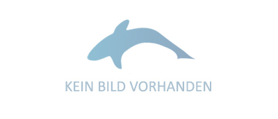 Rhino Bait Holder Grand dauphin vert doré 3 pièces