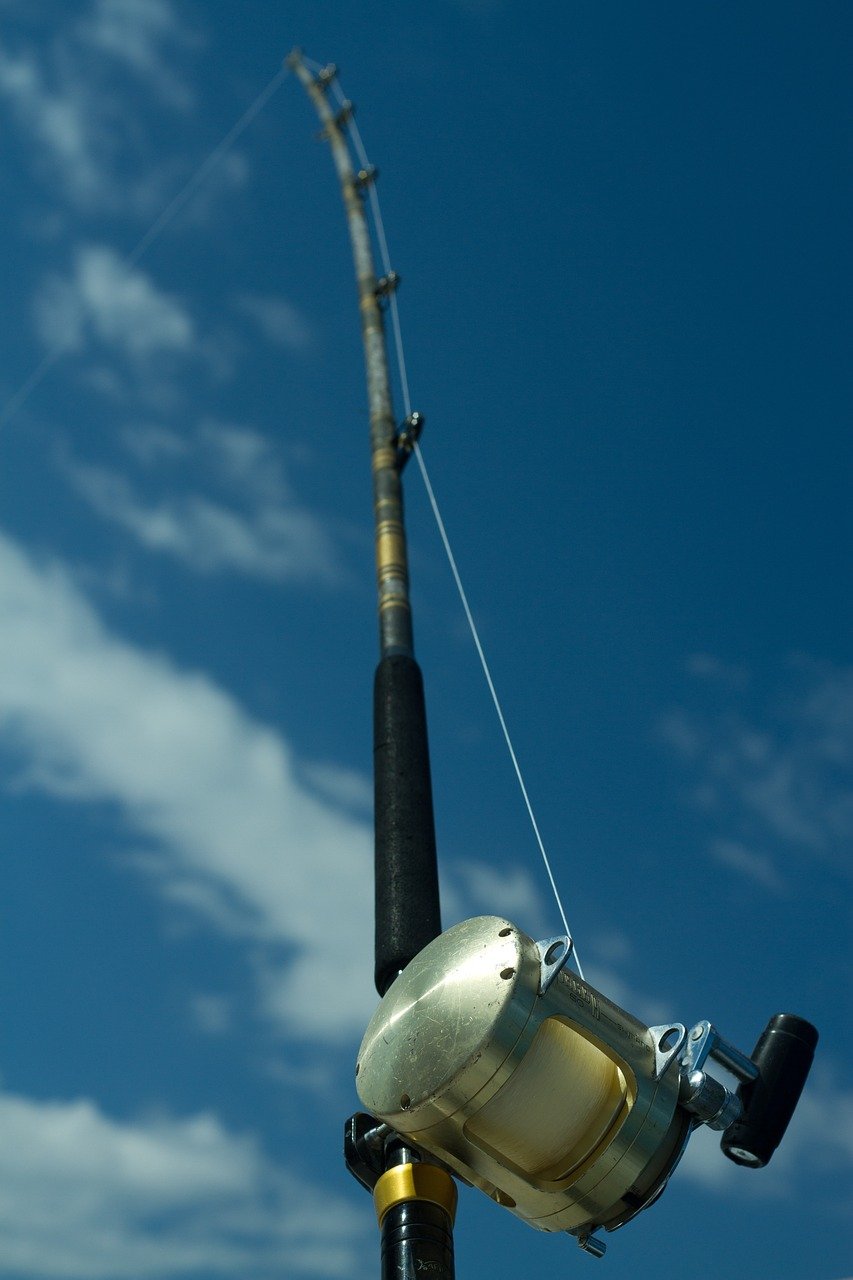 canne à pêche émotionnelle