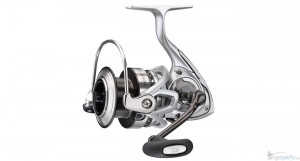 Les excellents Excelers de Daiwa