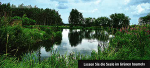 Pond in the green