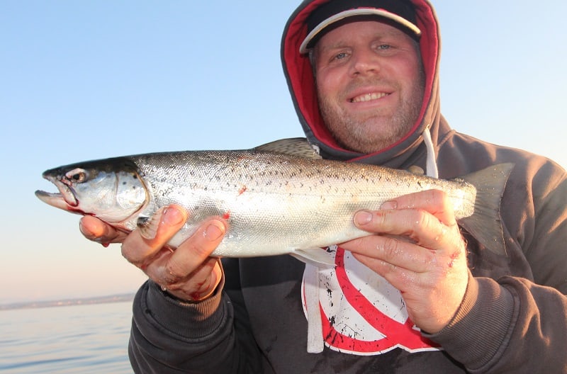 Trolling for sea trout with bait fish