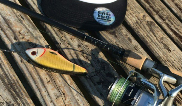 Getestet: Westin Swim Bait