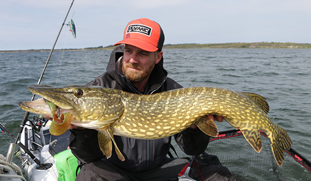 Die beste Zeit für Esox? Jetzt!