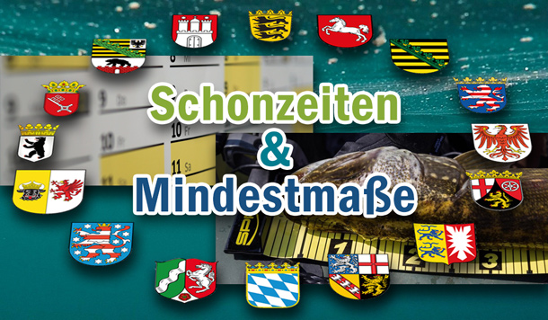 Neu bei uns: Schonzeiten und Mindestmaße