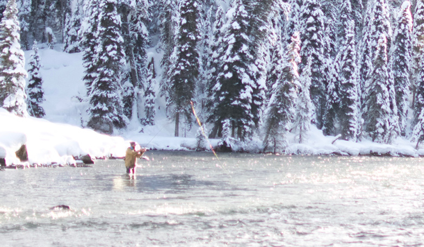 Fischarten im Winter: Wer ist noch aktiv?