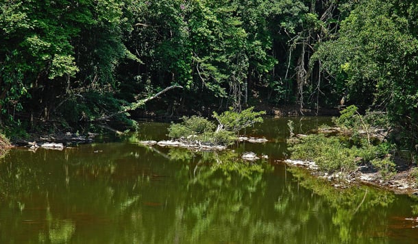 Wilde Havel, starke Fische