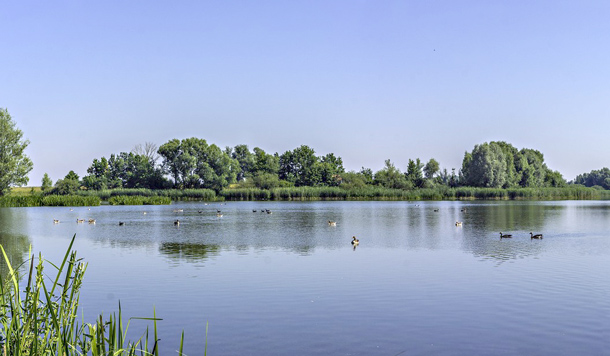 Altmühlsee: Flach aber vielfältig