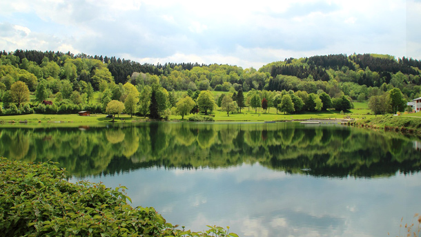 Rursee: Angeln im Herzen der Eifel