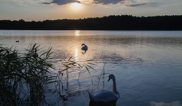 Müritz: Großsee mit Biss