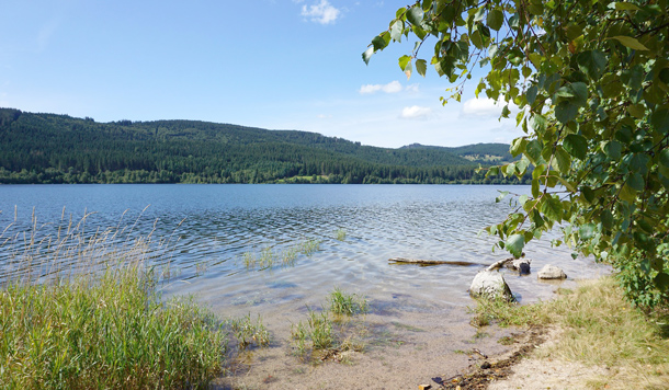 Schluchsee: Hochsee-Feeling im Schwarzwald