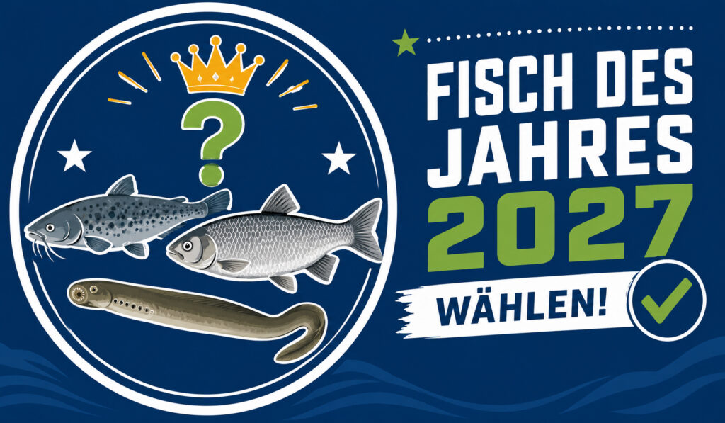 Fisch des Jahres 2027 wählen