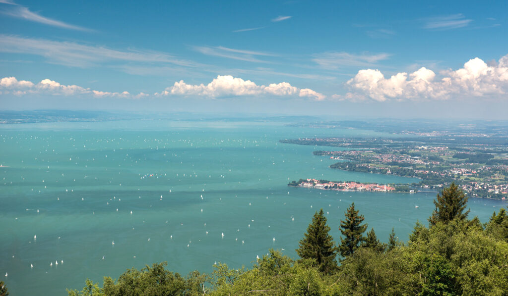 Hecht-Bestand erholt sich im Bodensee